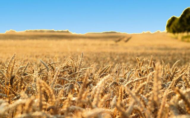 Semi-detached Houses Hyggelig, Seehausen