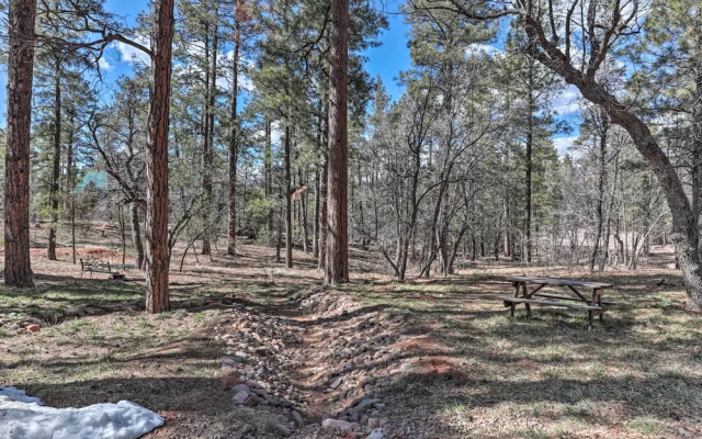 Home on 1 Acre w/ Wraparound Deck in Lakeside!