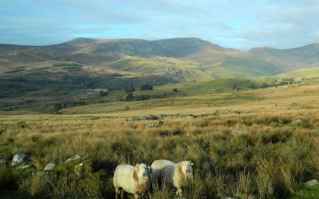 The Barn At Cae'R Fadog Isaf
