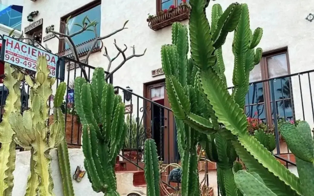 Oceanfront Hacienda