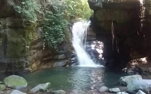 Sana Aluguel Economico