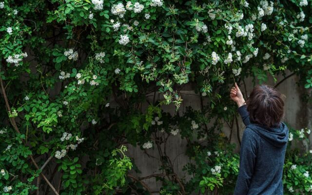 Su She Ting Yuan Homestay