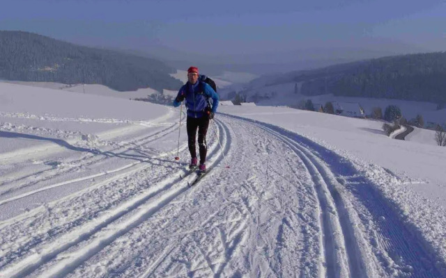 Hotel Schwarzwaldgasthof Zur Traube