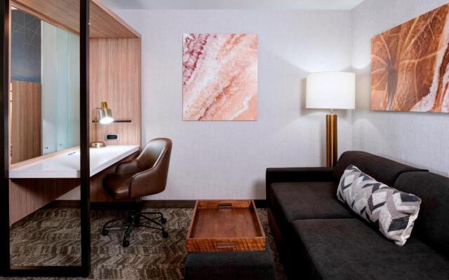 Springhill Suites Grand Rapids West