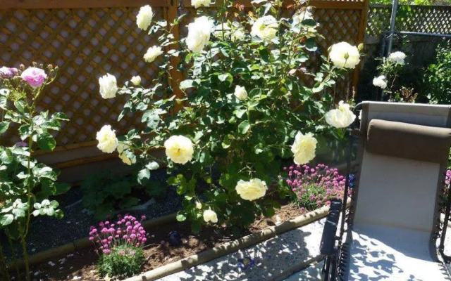 Beachway Vacation Rental and B&B Suites