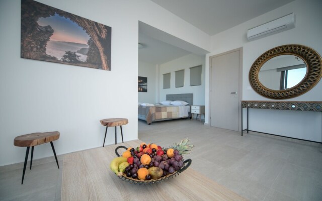 Olive & Stone Villas