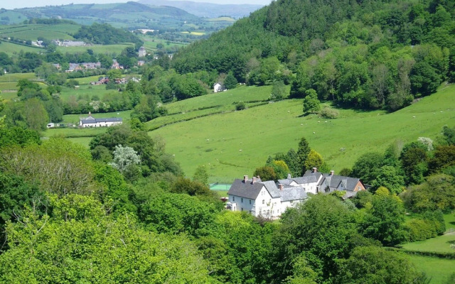 The Forest Country House B&B