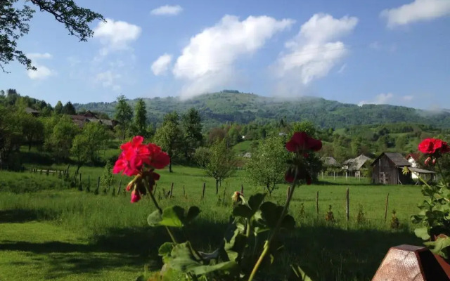 Pensiunea Turlas Maria