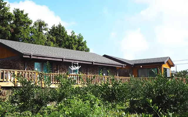 Seogwipo Seongsan Evergreen Pension