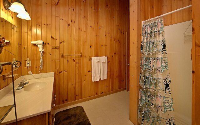 A Mountain Lair 1631 - Two Bedroom Cabin