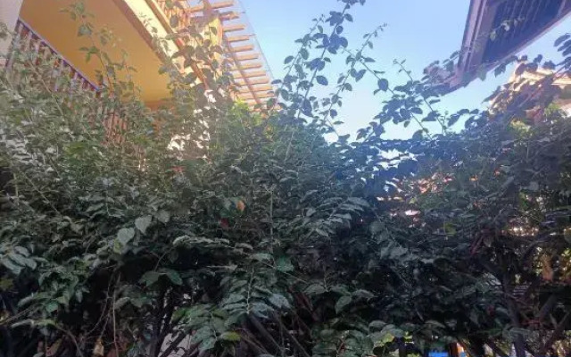 Phalaka hotel