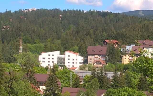Mountain Breeze Predeal