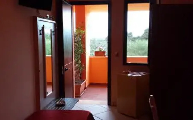 Sole del Mediterraneo