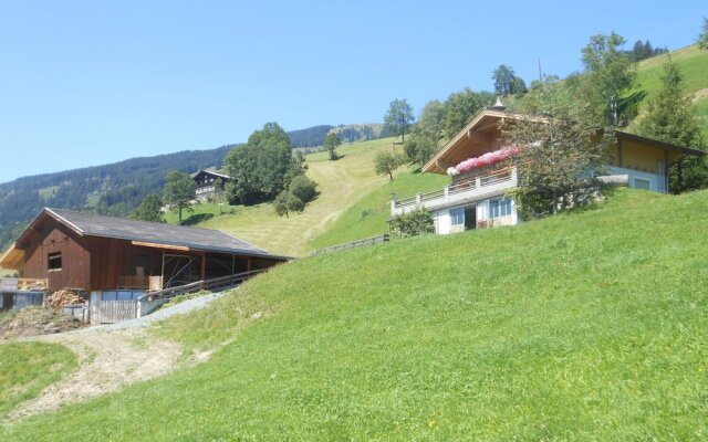 Welcoming Apartment in Hollersbach im Pinzgau near Ski Area