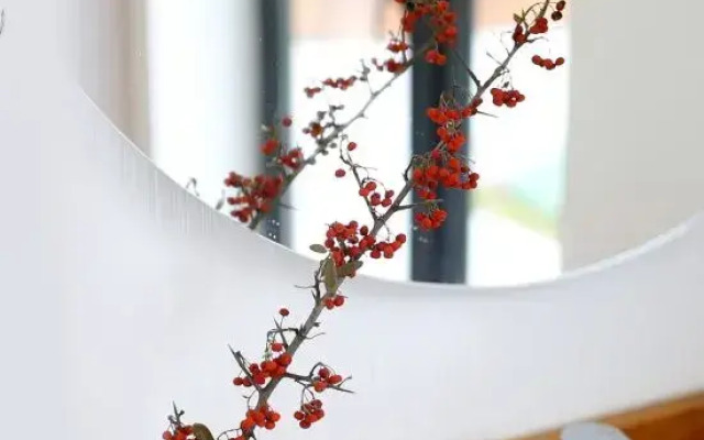Shanghai Rongheli villa