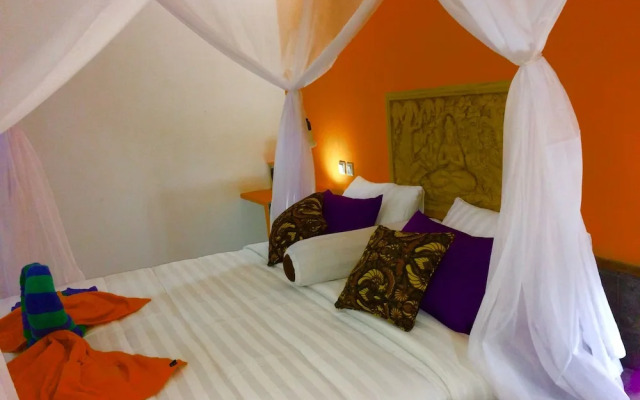 Amed Romance House