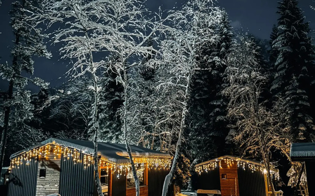 SkyWood
