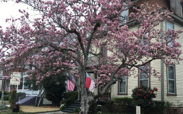 Meadows Inn Bed & Breakfast