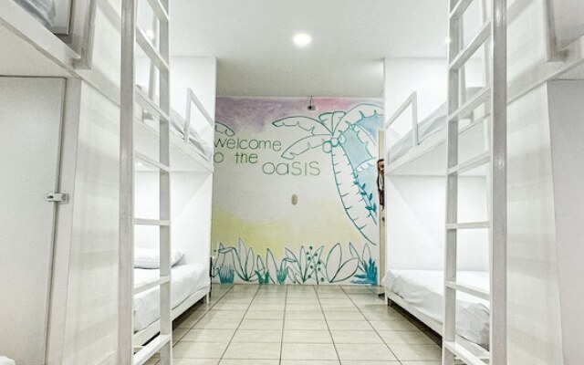 SJO Oasis Hostel