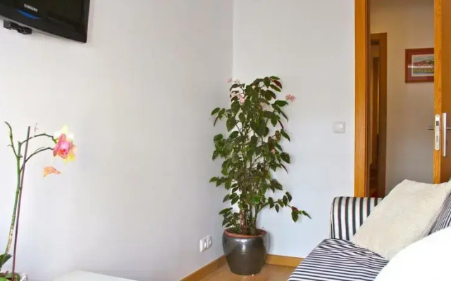 Akisol Bairro Alto Design II