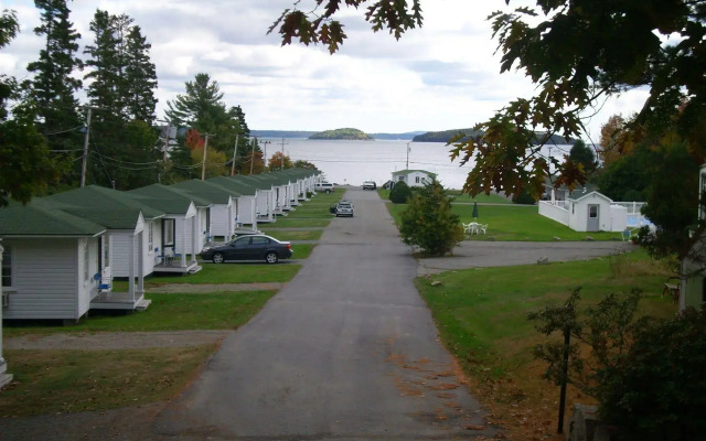 The Colony