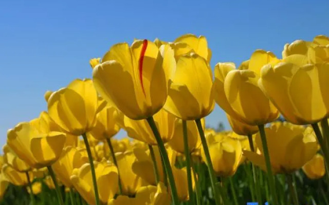 Xingyi Yunqi No.1 Inn (Xia Nahui Branch, Wanfenglin Scenic Area)