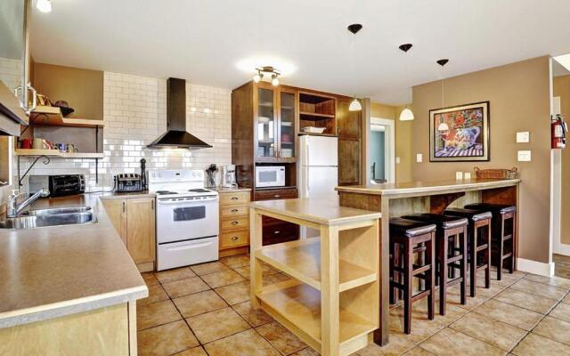 Chalets Alpins-08 Chemin Blanc