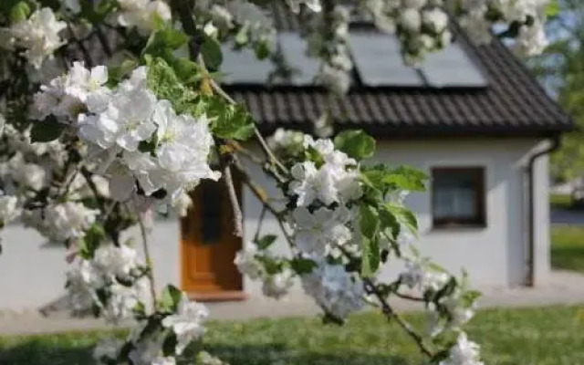 Apfelbaum