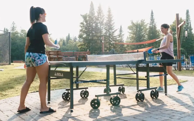 Le Cerf 40 Citq 234861