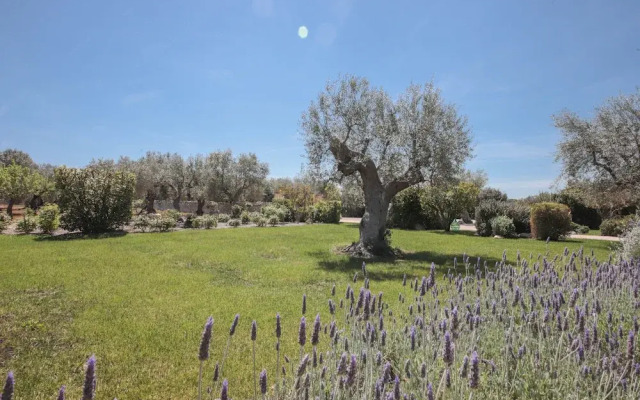 TD Trulli di Montaltino with Stunning Huge Pool
