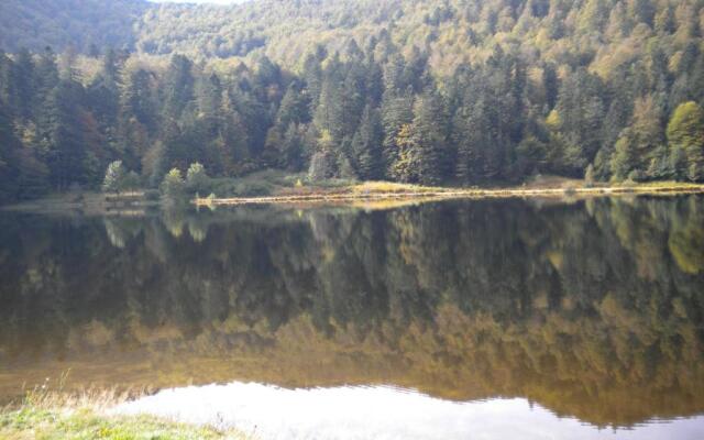 Chalet Plainfaing, 3 pièces, 4 personnes - FR-1-589-306
