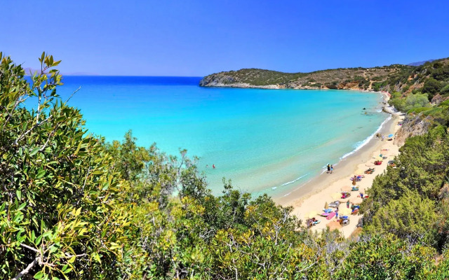 Olive Green Villa Heated Pool