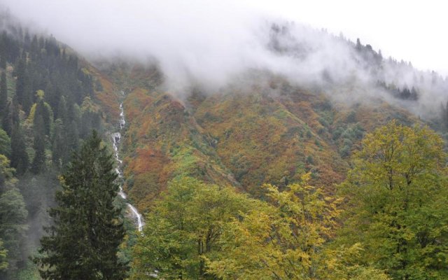 Ayder Hasimoglu Hotel