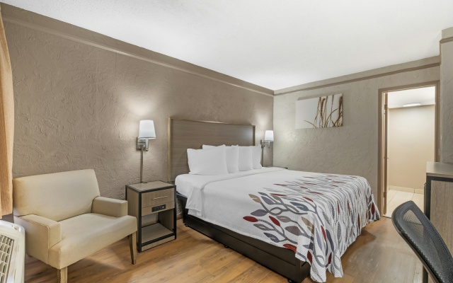 Red Roof Inn Tampa Bay - St Petersburg - Image 5