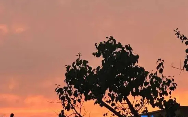 Zhufeng Evening Beauty Inn (Daxing International Airport Branch)
