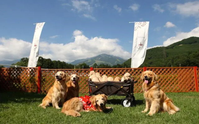 Petit Hotel Grass House