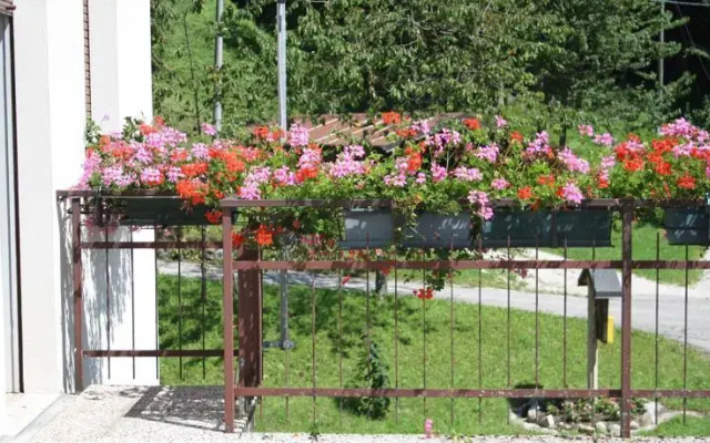 Alle soglie del parco