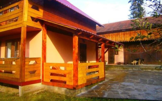 Pid Bukovynoyu