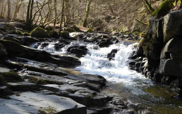 Brae House Bed & Breakfast