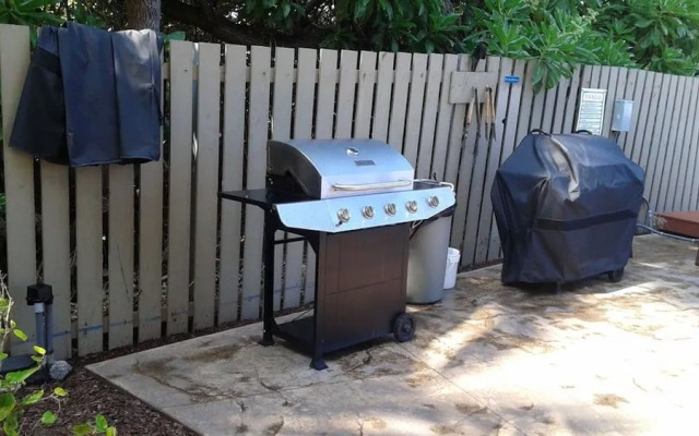 Banyan Tree By Kona Now