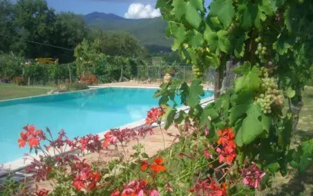Podere Piandarca