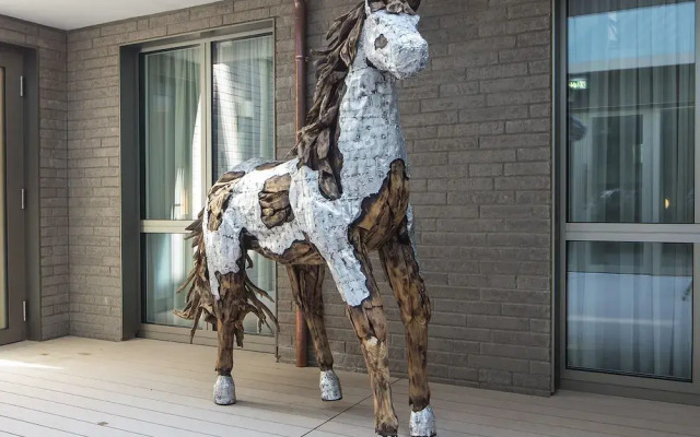 MeerBlickD21