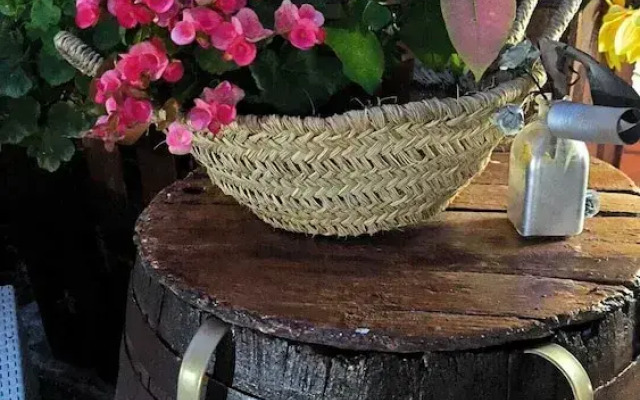 Hotel Rural La Raya 1866