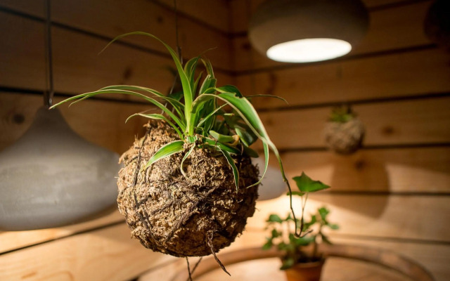 Stonehaven Lodge and Conference Center