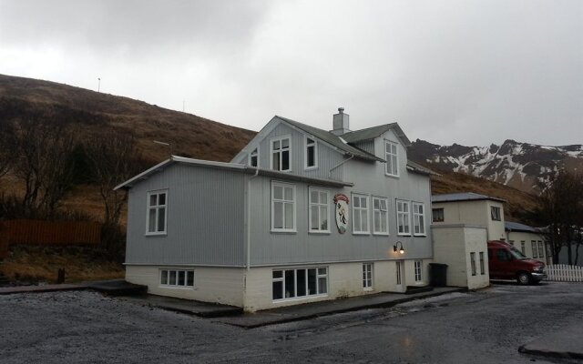 Puffin Hostel Vík