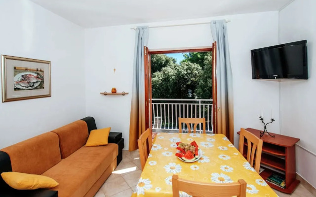 Apartment in Dalmatia With Terrace