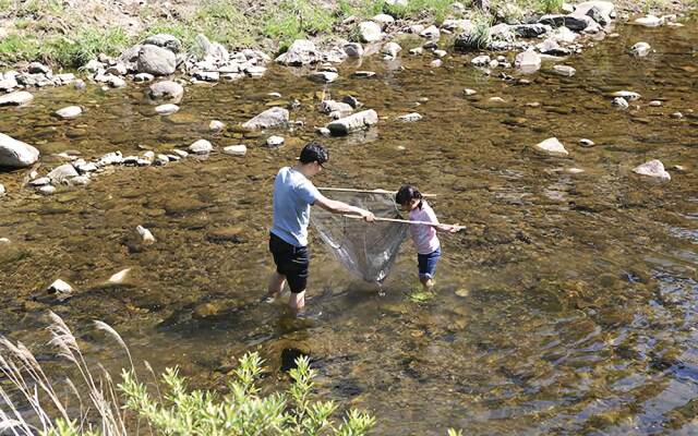 Jeongseon Firefly Light Clay Pension
