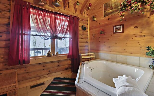 Alpine Ski Lodge
