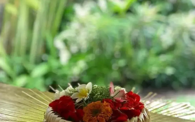 Kailash Bali