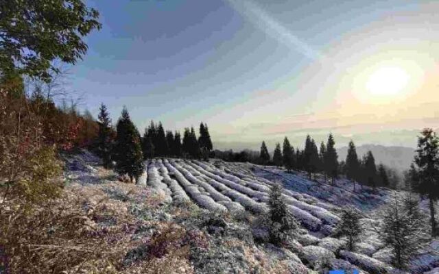 Ya'an No.1 Jingshan Villa